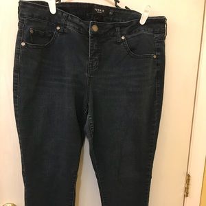 Torrid Denim